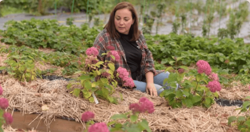 Интенсив по культурам для Бизнеса. Модель питомника на одной культуре: Гортензия [Татьяна Холомьева]