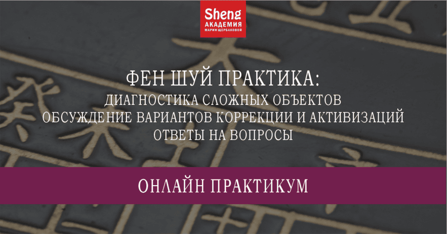 [Китайская метафизика] Фен шуй практика. Диагностика сложных объектов, обсуждение вариантов коррекции и активизаций [Мария Щербакова]