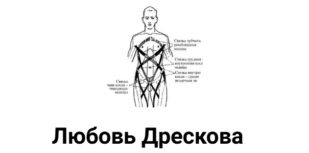 Человек как система [Любовь Дрескова]