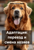 Адаптация: переезд и смена хозяев + Гайд по выгулу собак: ключевые моменты и опасности [Ольга Шпак]