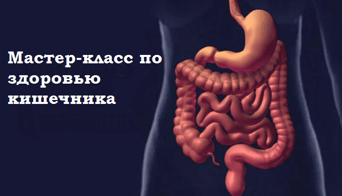 Мастер-класс по здоровью кишечника [stepik] [EverMade School]