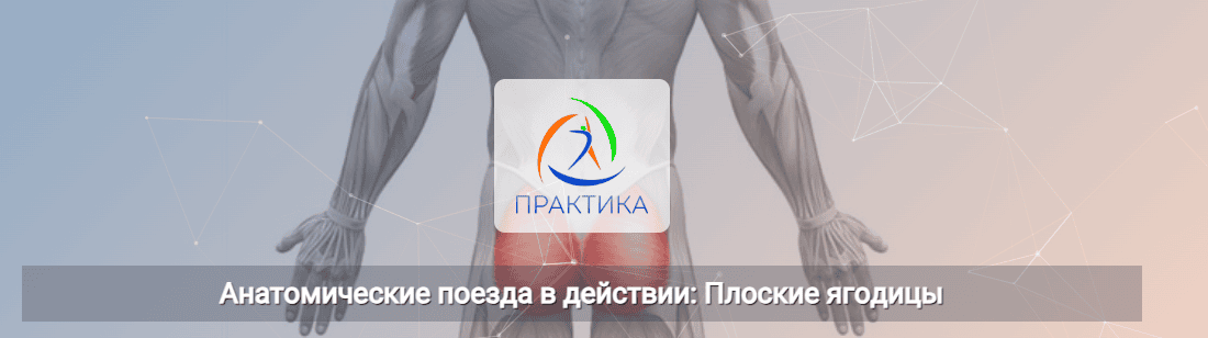 Анатомические поезда в действии: Плоские ягодицы [Центр Практика] [Анна Щербина]