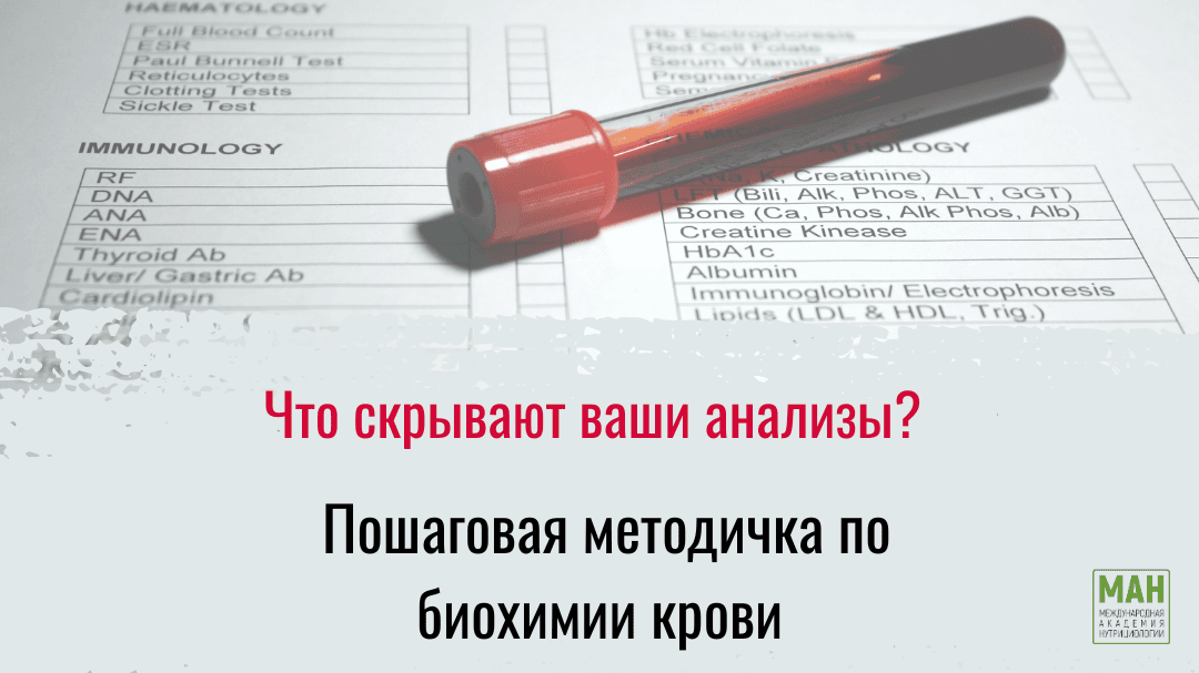 Пошаговая методичка по биохимии крови [МАН]