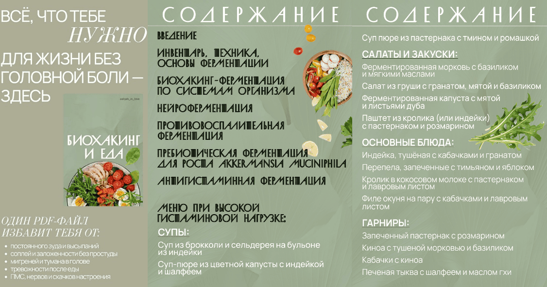 Биохакинг и еда [Аалия Маджид]