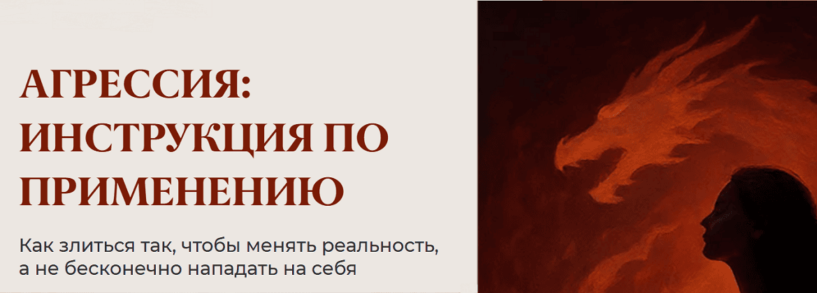 [Юлия Пирумова] Агрессия: инструкция по применению (2025)