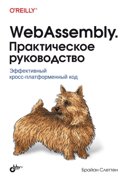 WebAssembly. Практическое руководство [Брайан Слеттен] [Повтор]