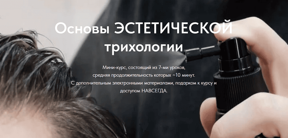 Основы эстетической трихологии [Диана Плосконос]