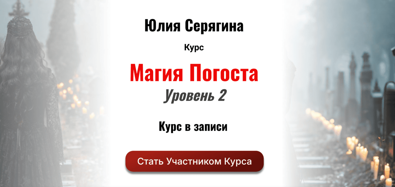 Магия Погоста. Уровень 2 [Академия Кайдзен] [Юлия Серягина]