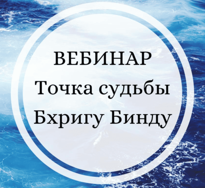 Точка Судьбы. Бхригу Бинду [Сарасвати] [Юлия Парамсон]