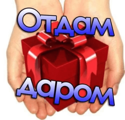 0.5k открытых групп ВК "Отдам даром" (2018)