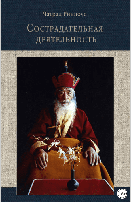 Сострадательная деятельность - Ринпоче (2018)