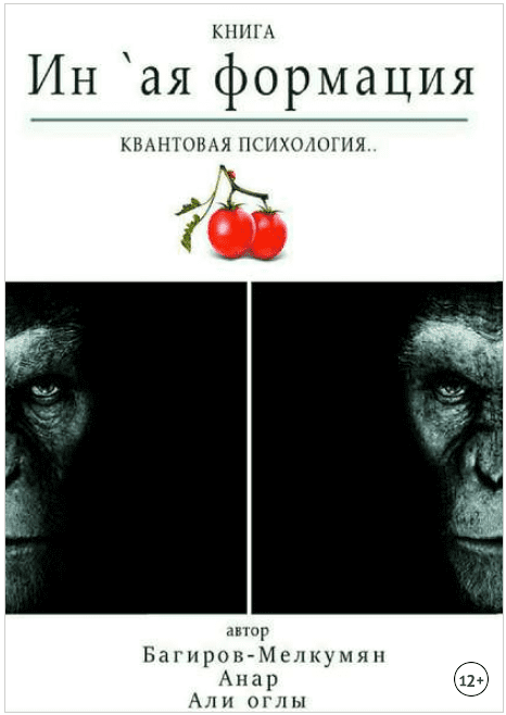 Ин-ая формация. Квантовая психология - Багиров-Мелкумян (2018)