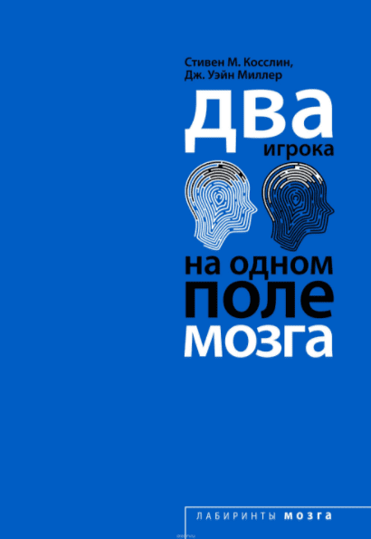 Два игрока на одном поле мозга - Косслин, Миллер (2016)
