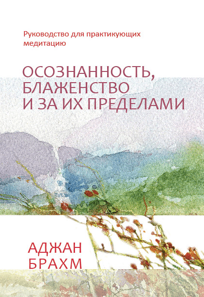 Осознанность, блаженство и за их пределами - Брахм (2014)