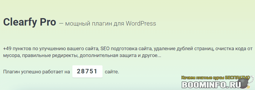 Clearfy Pro v3.3.5 – Обязательный плагин для успешного SEO продвижения сайта