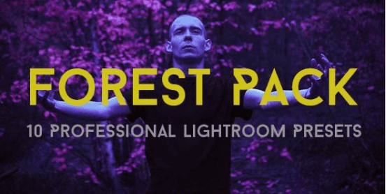 Forest Pack 10 Professional Lightroom Presets (2017)