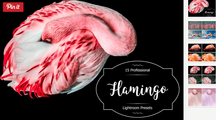 Flamingo Lr Presets (2018)