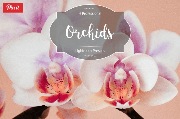 Orchids Lr Presets (2018)