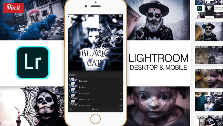 Lightroom Mobile - Black Cat (2018)