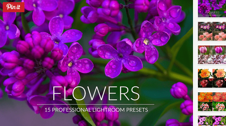 Flowers Lr Presets (2018)