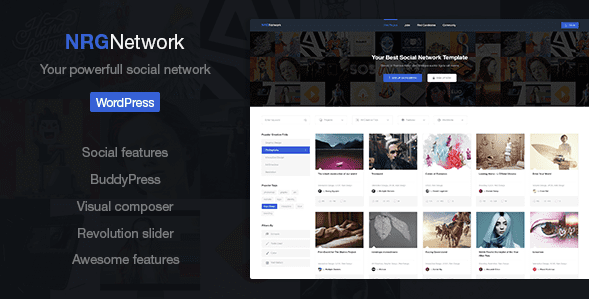 [WP] NRGnetwork v1.4.5 - мощная тема социальной сети на Wordpress