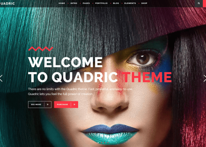 Quadric v1.3 NULLED - Современный и креативный шаблон WORDPRESS