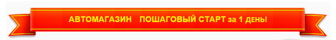 Автомагазин — Ваш сверхприбыльный стартап за 1 день!