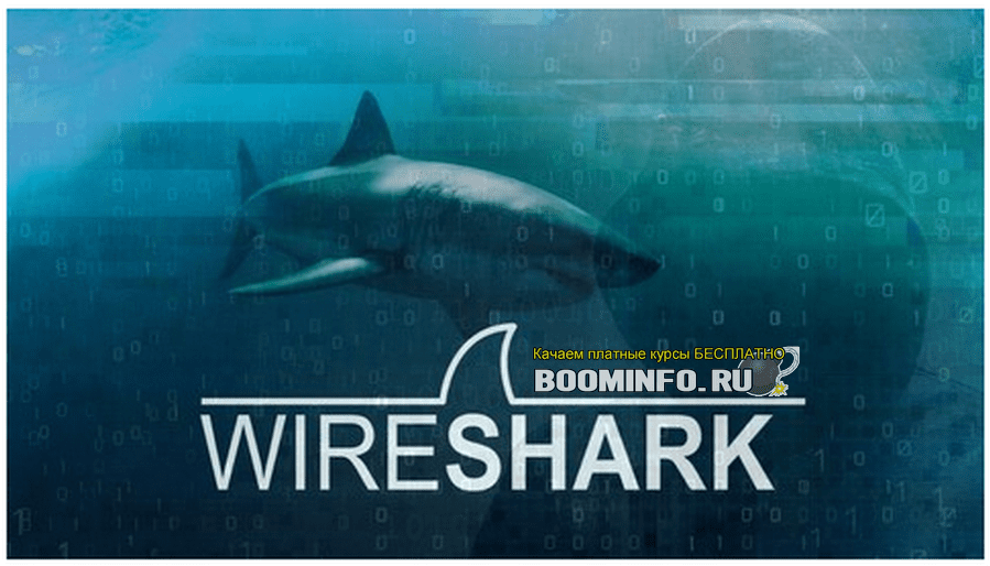 [Udemy] Wireshark: пакетный анализ и этический взлом: основные навыки (2019)