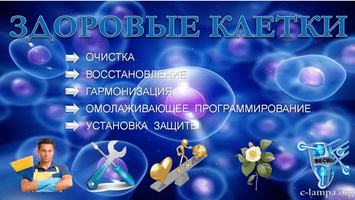 Здоровые клетки - Янгаев (2015)