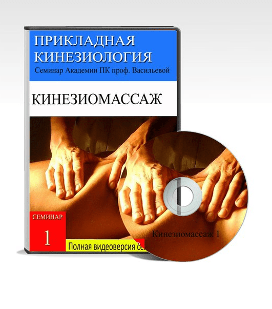 КИНЕЗИОМАССАЖ 1. Мышечные цепи туловища и нижних конечностей