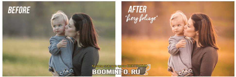 Коллекция пресетов Forever Fall Lightroom (2019)
