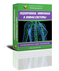 Эндокринная, иммунная и лимфа системы (программа для женщин) - Ревенко (2016)