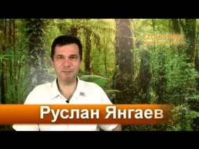 Путь с сердцем - Янгаев (2015)