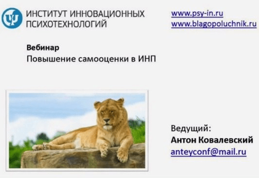 Работа с самооценкой в Интегральном Нейропрограмировании (Ковалевский А.)