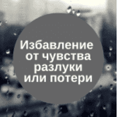 Перестать стесняться за 4 недели (2014)