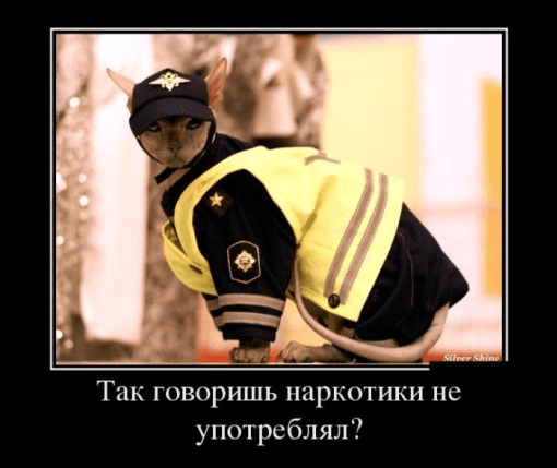Мудрость души. Или как зависимость превратить в терапию - Бурхаев (2015)
