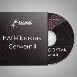 Сегмент II — Речевые стратегии. Тренинг «НЛП-Практик».