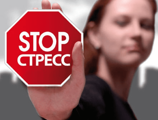 Прививка от стресса   бонусы - Зыгмантович