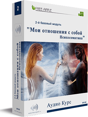 Второй базовый модуль. Мои отношения с собой - Шморгун (2012)