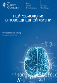 Нейробиология в повседневной жизни. Часть 1 - Вонг С. (2016)