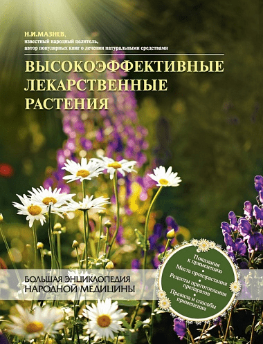 Роскошь системного самопознания - Толкачев (2010)