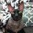 ololo_2223